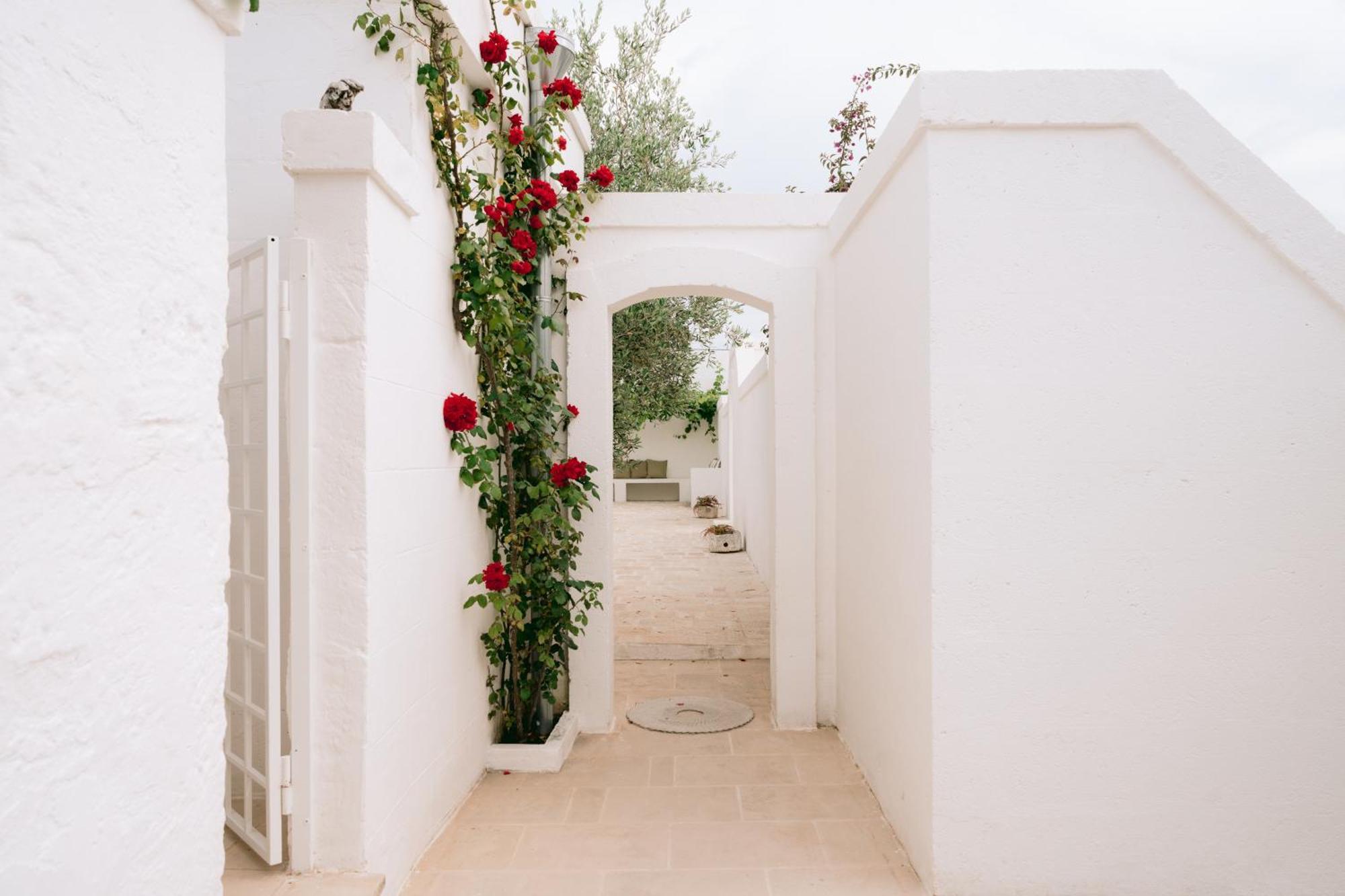 Oltre Gli Ulivi Bed & Breakfast Ostuni Bagian luar foto