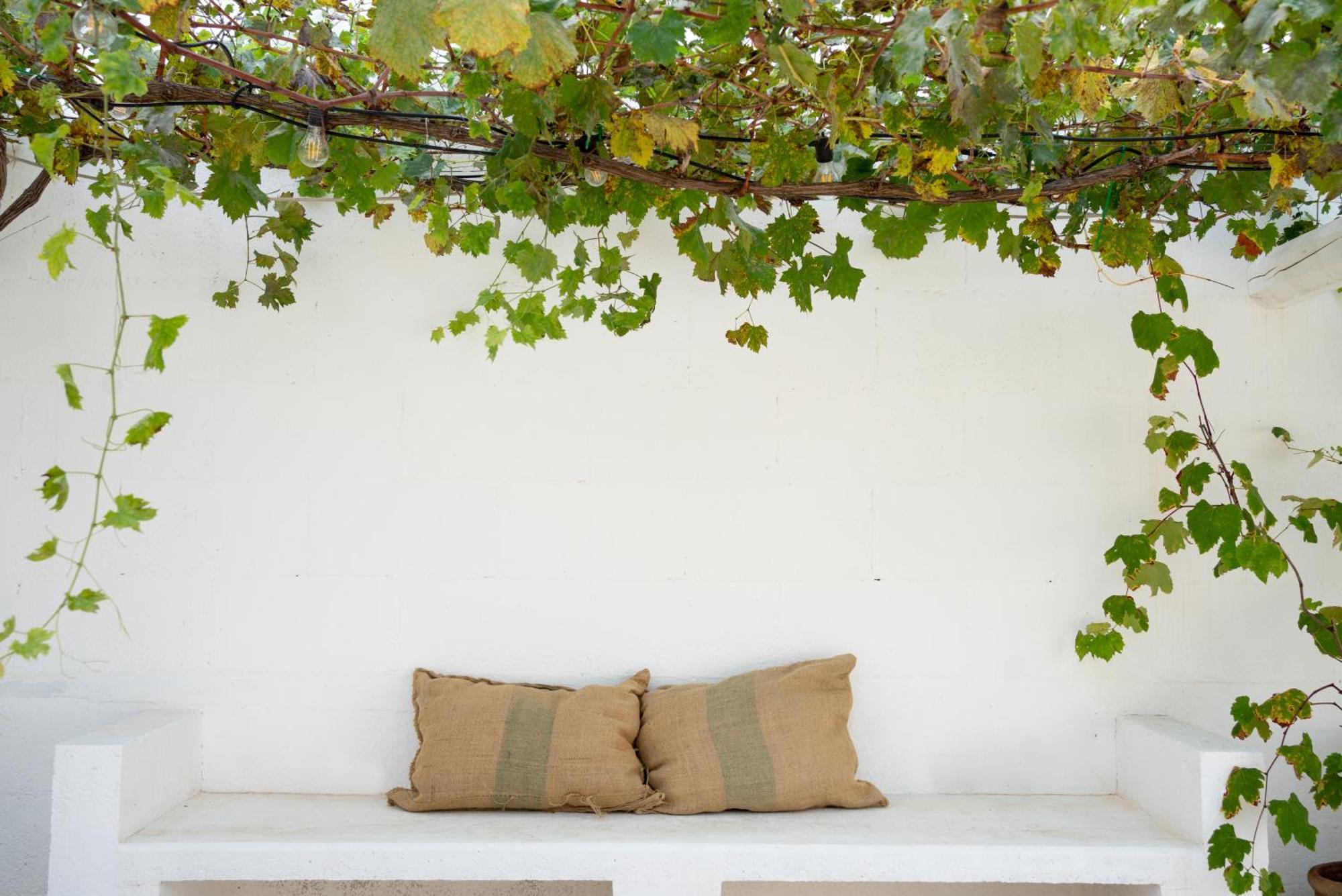 Oltre Gli Ulivi Bed & Breakfast Ostuni Bagian luar foto